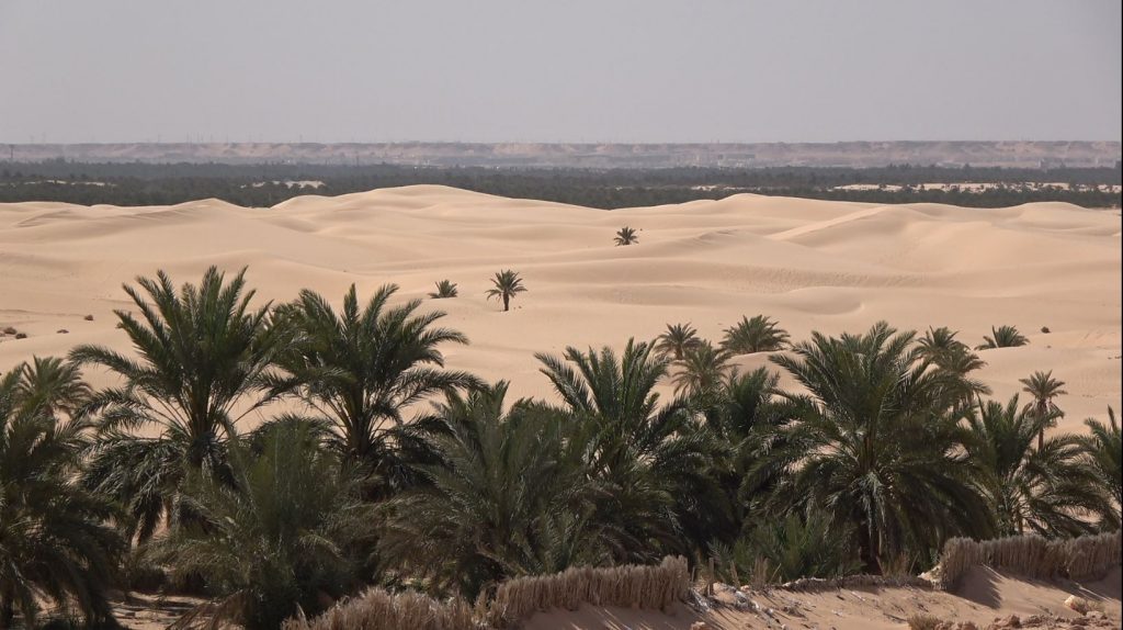 AL - The Ouargla oasis between the sandy dunes and Neogene plateau