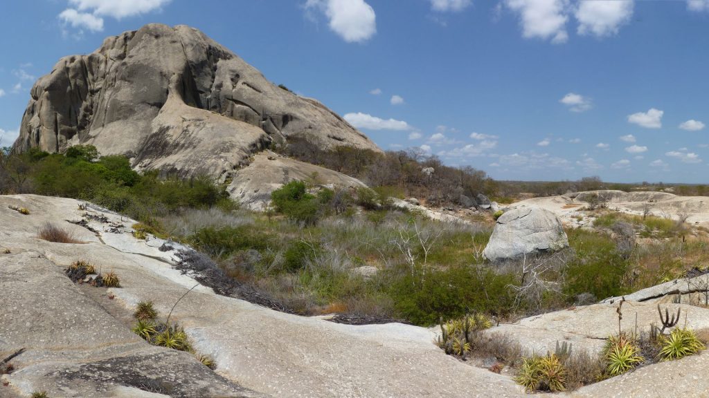 BR - Bare igneous rock and vegetation in the Quixeramobim area
